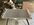 IMG_3949.jpeg