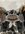 IMG_6208.jpeg