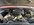 IMG_9666.jpeg