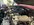 IMG_9667.jpeg