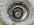 IMG_9274.jpeg