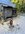 5BE8C79F-0B94-4A5C-A499-7DB178B624C8.jpeg