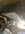 IMG_8732.jpeg