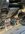 IMG_8733.jpeg