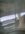 IMG_6079.jpeg IMG_6079.jpeg
