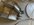 IMG_8738.jpeg