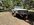 IMG_7303.jpeg