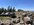 IMG_7313.jpeg