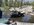IMG_7263.jpeg