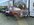 IMG_8925.jpeg