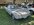 IMG_8770.jpeg