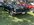 IMG_8769.jpeg