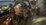 IMG_1169.jpeg
