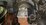 IMG_1168.jpeg