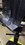IMG_9310.jpeg