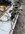 IMG_1703.jpeg