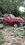 IMG_5257.jpeg