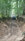 IMG_1207.jpeg