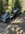 IMG_2378.jpeg