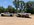 IMG_1193.jpeg