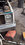 IMG_1459.jpeg