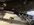 IMG_8752.jpeg