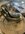 IMG_8753.jpeg