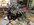 IMG_0762.jpeg