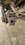 IMG_5292.jpeg