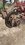 IMG_5291.jpeg