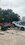 IMG_5289.jpeg