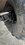 IMG_5293.jpeg