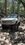 IMG_5301.jpeg