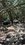 IMG_5302.jpeg