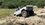 IMG_5312.jpeg