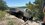 IMG_5320.jpeg