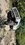 IMG_5323.jpeg
