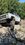 IMG_5322.jpeg