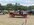 IMG_9024.jpeg