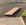 IMG_4063.jpeg