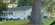 IMG_9458.jpeg
