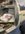 IMG_8787.jpeg