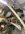 IMG_8788.jpeg