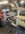 IMG_8789.jpeg