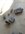 IMG_8794.jpeg