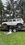IMG_5381.jpeg