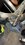 IMG_9348.jpeg