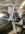 IMG_8797.jpeg