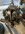 IMG_0385.jpeg