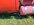 Resized_20240823_112100.jpeg